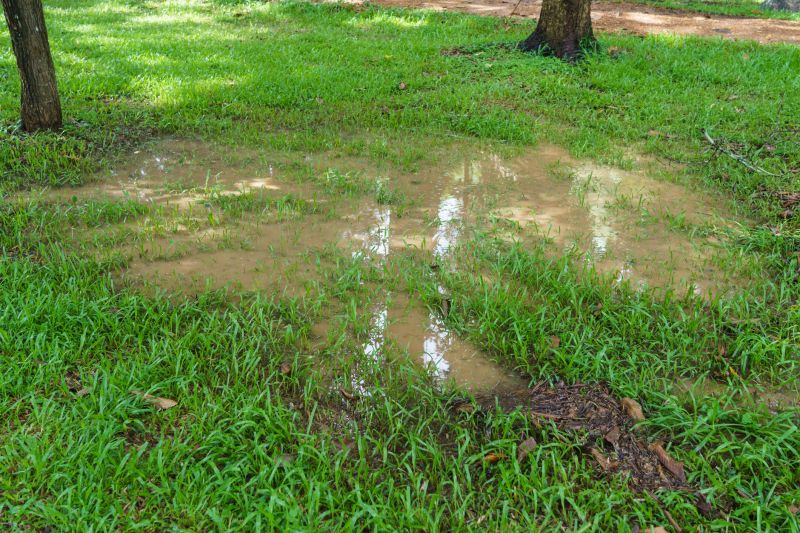 Drainage Improvements